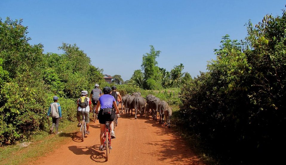 Bangkok Cycling To Siem Reap To Hanoi 20 Days
